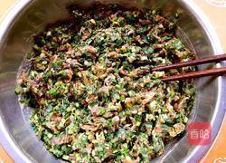 韭菜鲜肉馅饺子的做法图解11