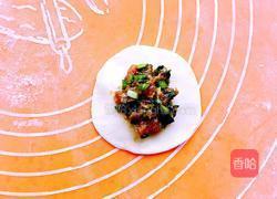 韭菜鲜肉馅饺子的做法图解15