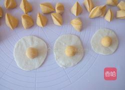 南瓜开花馒头的做法图解13