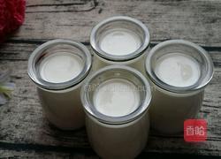 自制酸奶的做法图解13