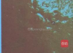 鲜芒果冰淇淋的做法图解3