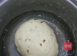 玉米红枣馒头的做法图解6