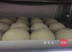 椰蓉面包的做法图解16