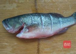 干蒸鲈鱼的做法图解2