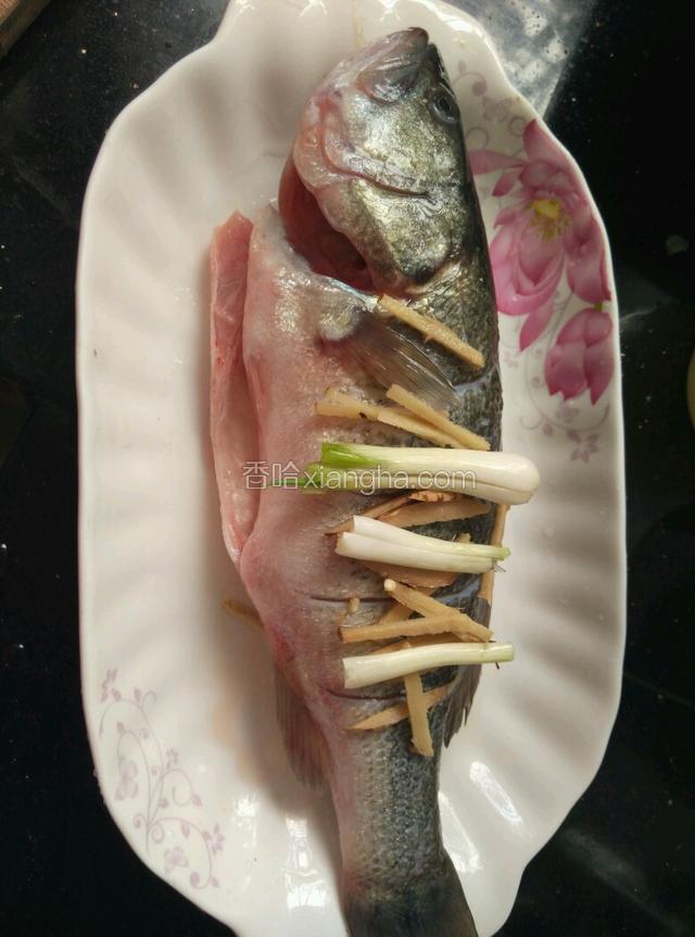 放入鲈鱼，在鲈鱼上面再放一层姜丝和葱头，淋上料酒。