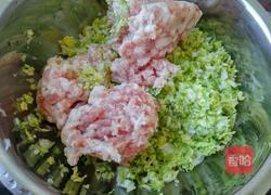 娃娃菜馅饺子的做法图解2