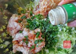 娃娃菜馅饺子的做法图解6