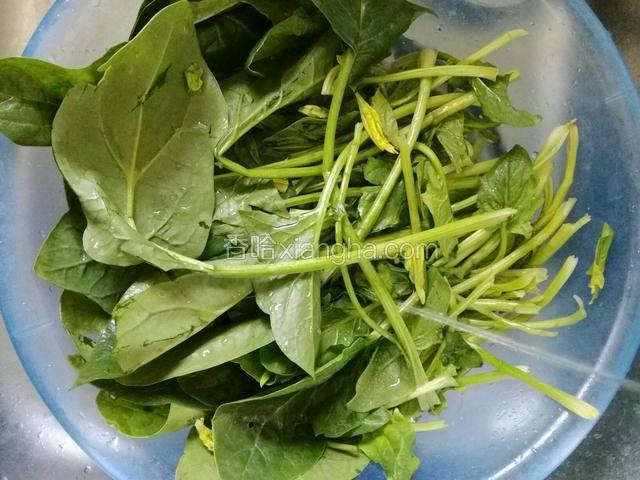 菠菜清水反复冲洗沙质，洗净备用；
