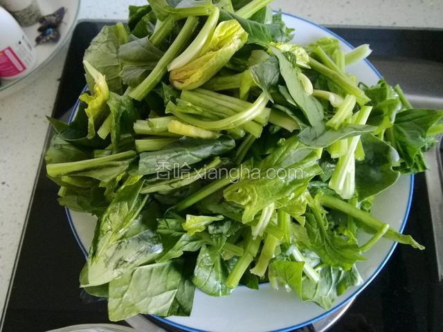 菠菜切成3厘米长菠菜段儿；