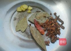 萝卜牛腩煲的做法图解2