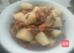 萝卜牛腩煲的做法图解11