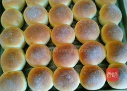 光头小面包的做法图解8