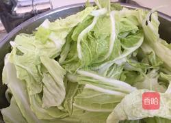 冬日暖阳酸辣白菜的做法图解1