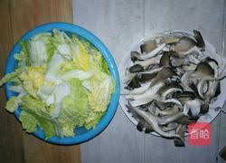 平菇娃娃菜的做法图解2