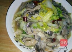 平菇娃娃菜的做法图解6