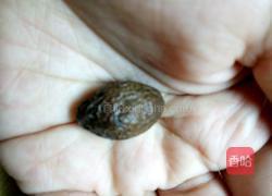 菊花胖大海茶的做法图解4