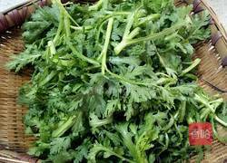 蒜蓉茼蒿的做法图解1