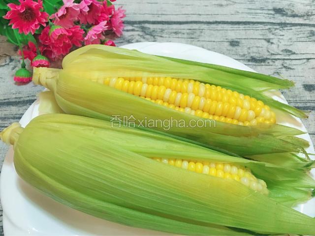 煮玉米