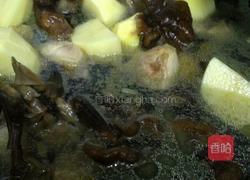 土豆蘑菇炖鸡的做法图解12
