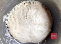 老酵头面包的做法图解3
