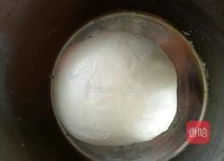 豆沙小餐包的做法图解2