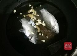 鲫鱼汤的做法图解4