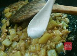 土豆鸡丁的做法图解7