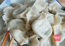 猪肉韭菜饺子的做法图解16