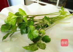 白萝卜羊排汤的做法图解8