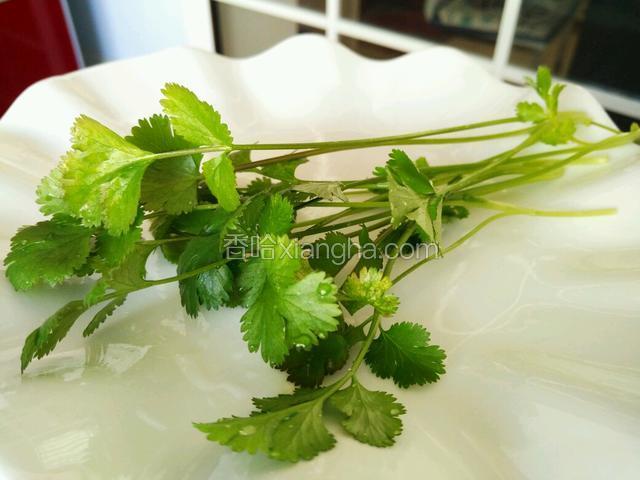 这是自家种的香菜，将香菜切末。