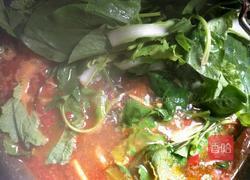 糟辣椒火锅的做法图解6