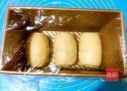 豆浆土司（一次发酵法）的做法图解9
