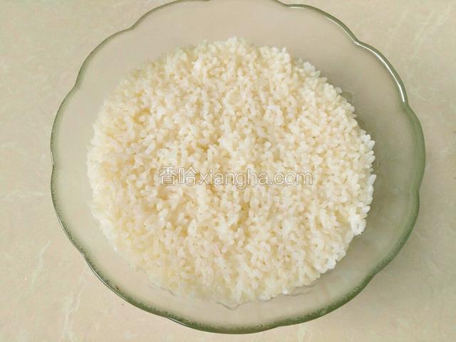 蒸熟的米，稍微放凉一会。