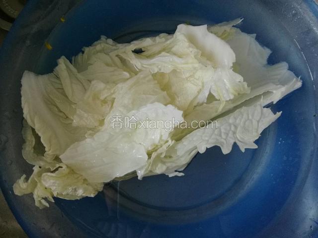 白菜用清水洗净；