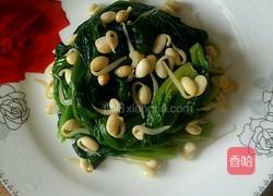 凉拌菠菜的做法图解5