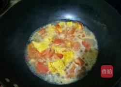 西红柿鸡蛋手擀面的做法图解9