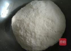 猪肉酸菜水饺的做法图解4