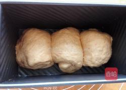 番茄土司（无黄油）的做法图解8