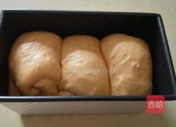 番茄土司(无黄油)的做法图解9