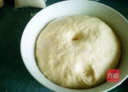 海丽包子的做法图解3