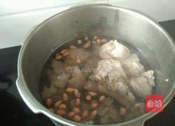 花生猪手汤的做法图解7