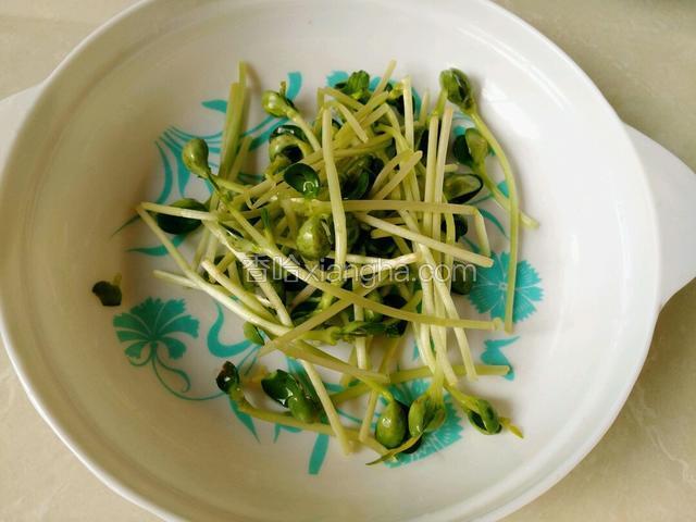 将豆苗洗净，