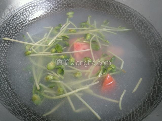 利用锅中煮面水将豆苗，西红柿片放锅中焯至豆苗断生然后捞出，摆放碗中。