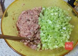 芹菜鲜肉饺子的做法图解4