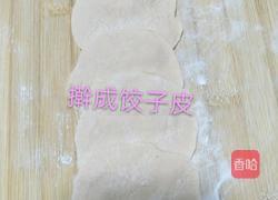 彩色水饺的做法图解12