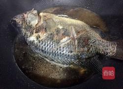 红烧罗非鱼的做法图解5