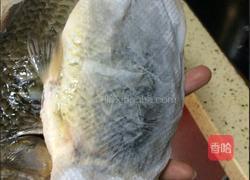 鲫鱼羊排汤的做法图解1