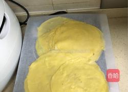 芒果火龙果双拼千层的做法图解3