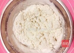 彩色汤圆的做法图解7