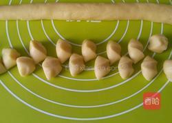 开口笑（油炸）的做法图解7